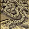 S852eac619a2f43ec807601e351ad0bd2E - Uzumaki Merch